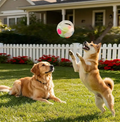 PAWLORAK  Dog Soccer Ball with Handle Floating Chew Toy