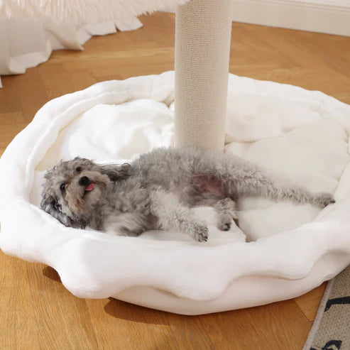 PAWLORAK  Classical Jellyfish Cat Tree