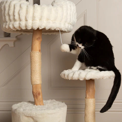 PAWLORAK  Cat Tree