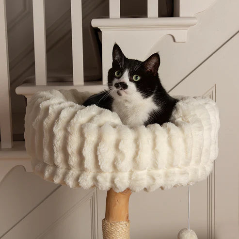 PAWLORAK  Cat Tree