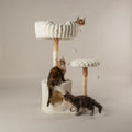 PAWLORAK  Cat Tree