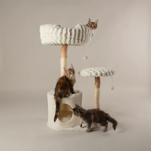PAWLORAK  Cat Tree