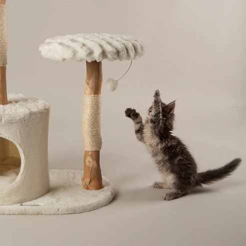 PAWLORAK  Cat Tree