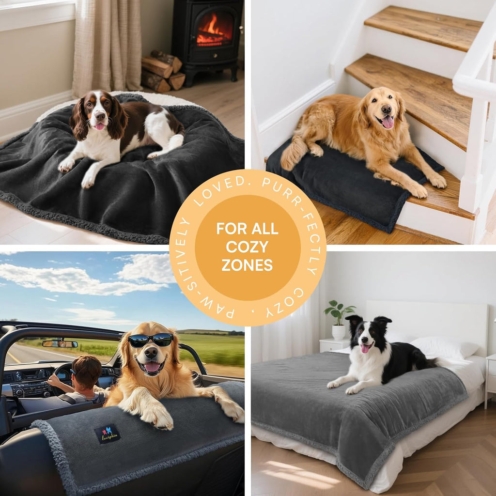 PAWLORAK Waterproof Bed Blanket Washable, Soft Sherpa Fleece Puppy Reversible Throw Blankets for Small, Medium Dog Cat, Furniture Cover Protector Couch from Liquid Pee and Pet Fur,Light Grey,57" x 40"