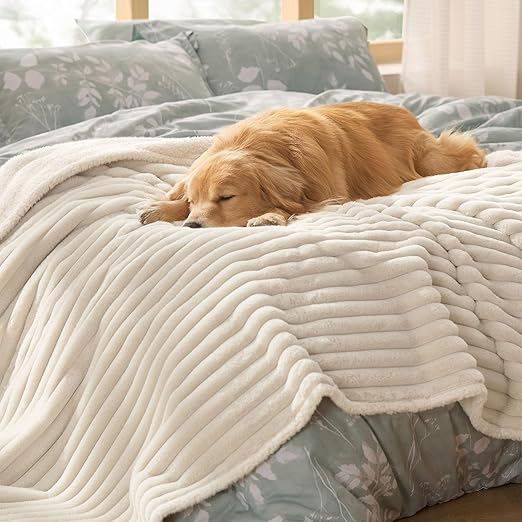 PAWLORAK ComfyFleece™ Waterproof Dog Blankets for Large Dogs - Soft Pet Cat Blanket Corduroy Fleece for Bed Protector Washable, Cozy Calming Reversible Furniture Protection,60"x80", Cream