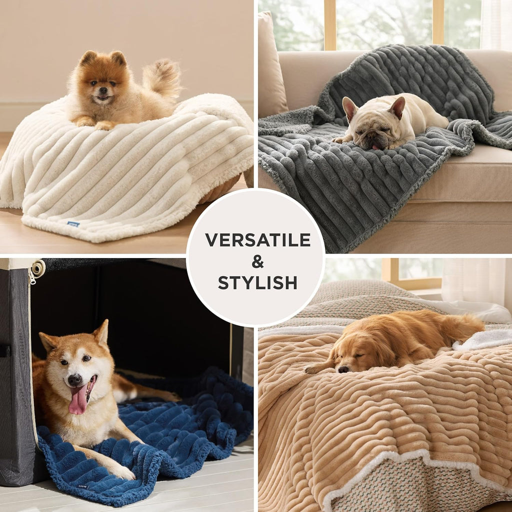 PAWLORAK ComfyFleece™ Waterproof Dog Blankets for Large Dogs - Soft Pet Cat Blanket Corduroy Fleece for Bed Protector Washable, Cozy Calming Reversible Furniture Protection,60"x80", Cream