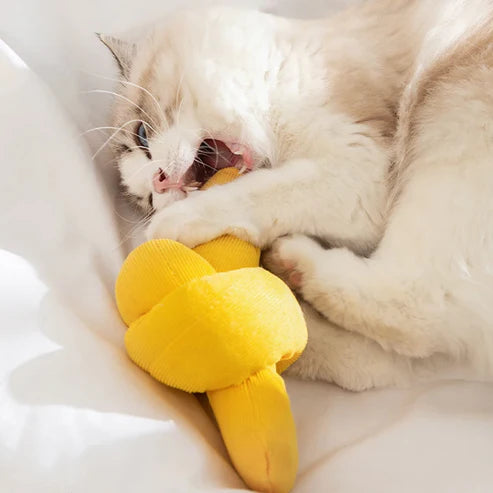 PAWLORAK  Kick ‘n’ Nip