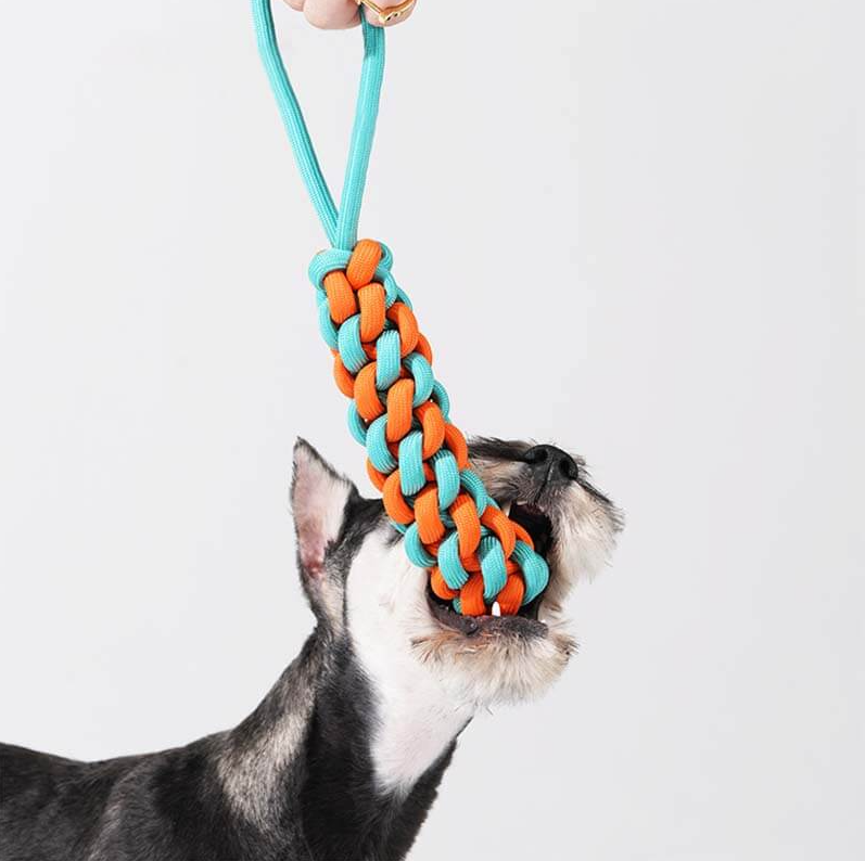 PAWLORAK  Braided Rope Stick Tug Dog Toy - Color Clash