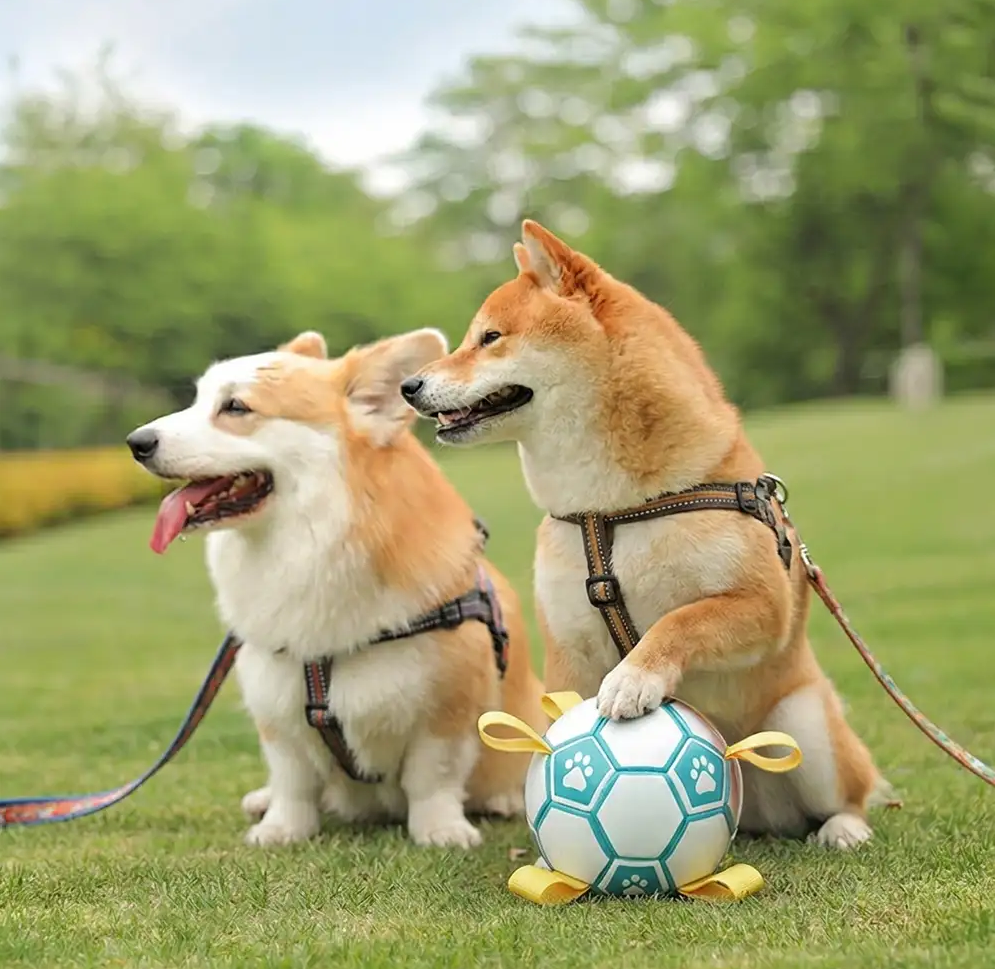 PAWLORAK  Soccer Ball Dog Chew Toy With Straps