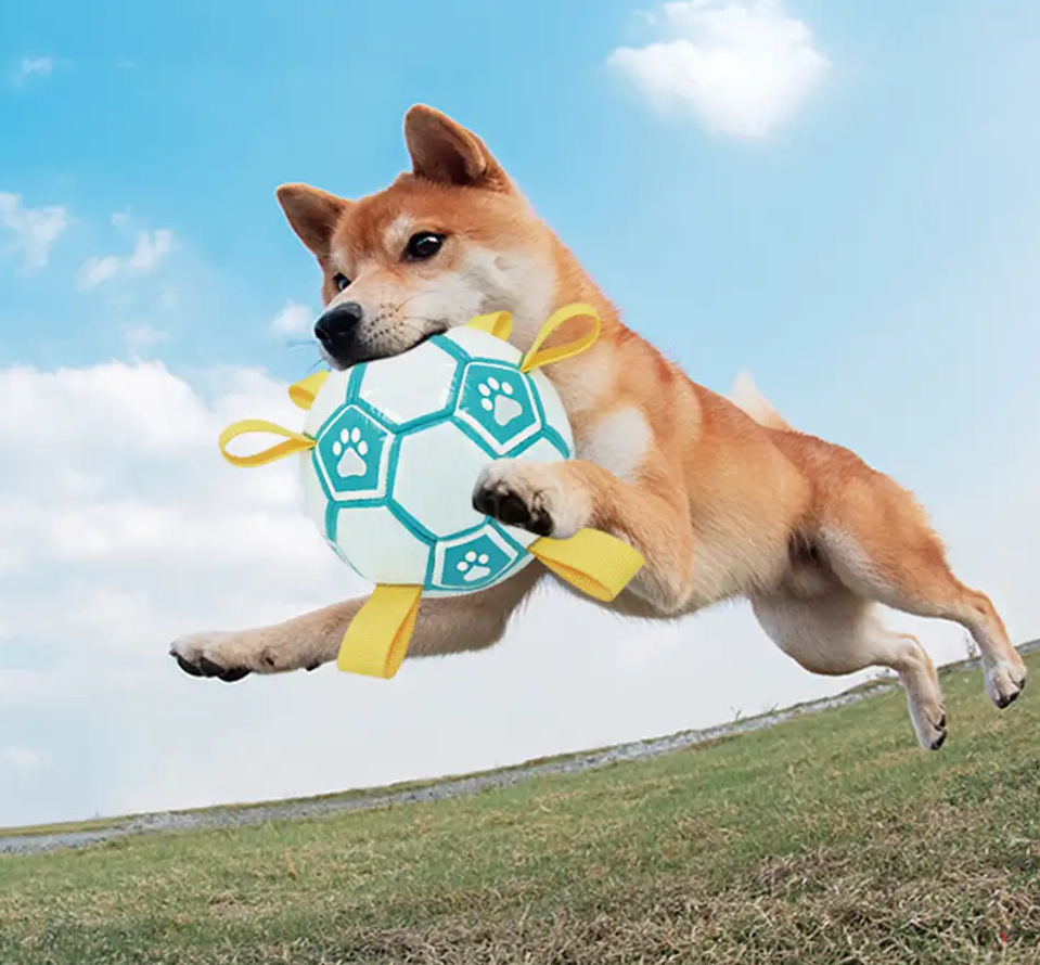 PAWLORAK  Soccer Ball Dog Chew Toy With Straps