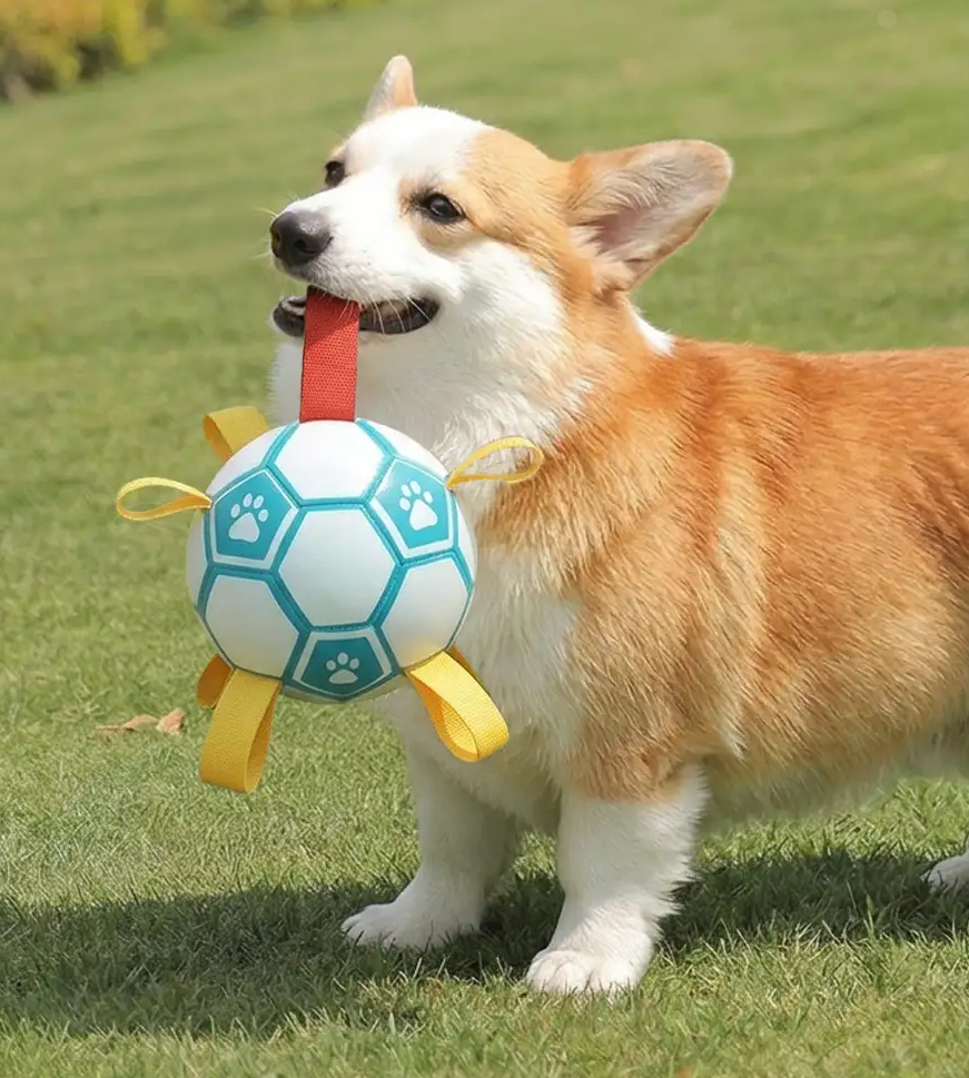 PAWLORAK  Soccer Ball Dog Chew Toy With Straps