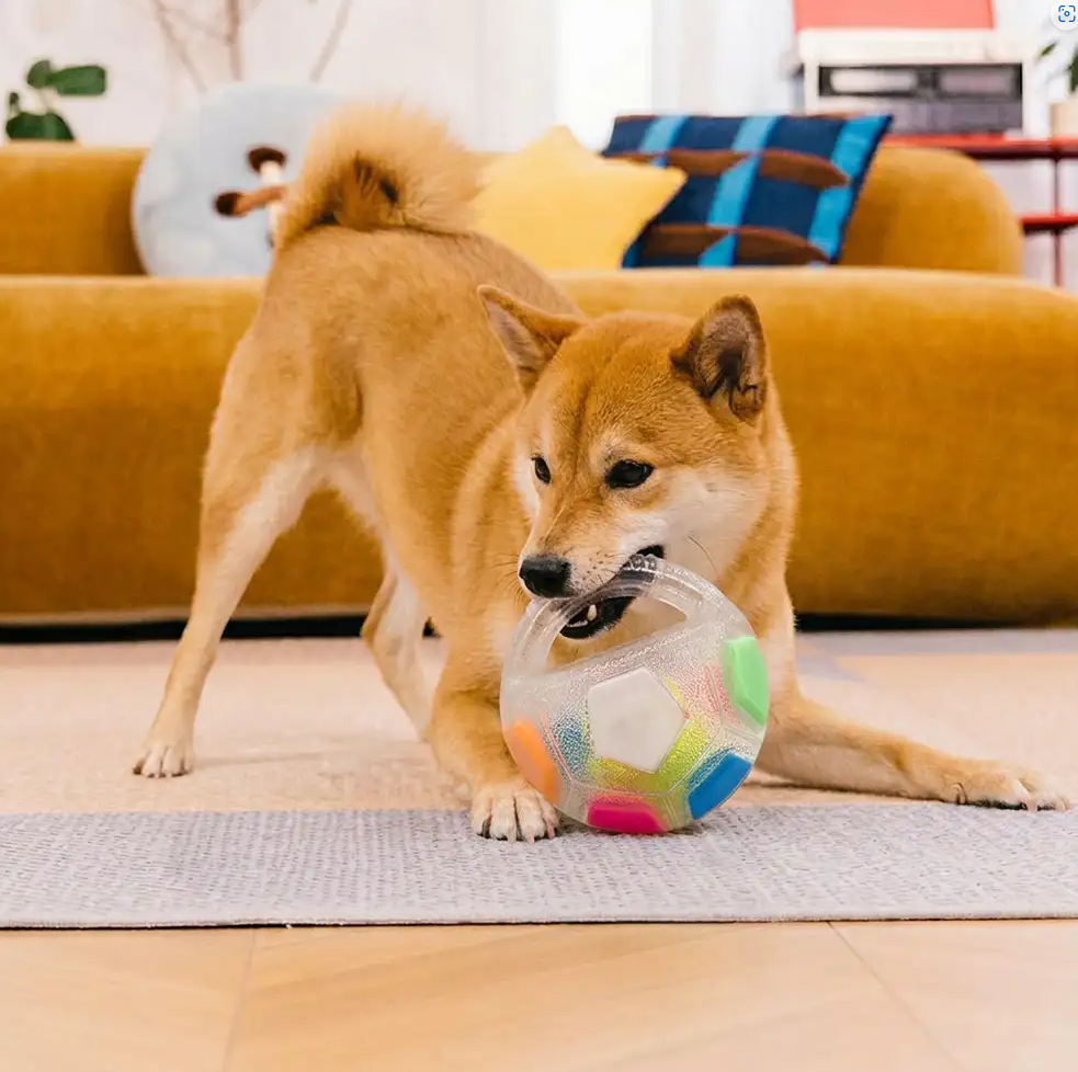 PAWLORAK  Dog Soccer Ball with Handle Floating Chew Toy