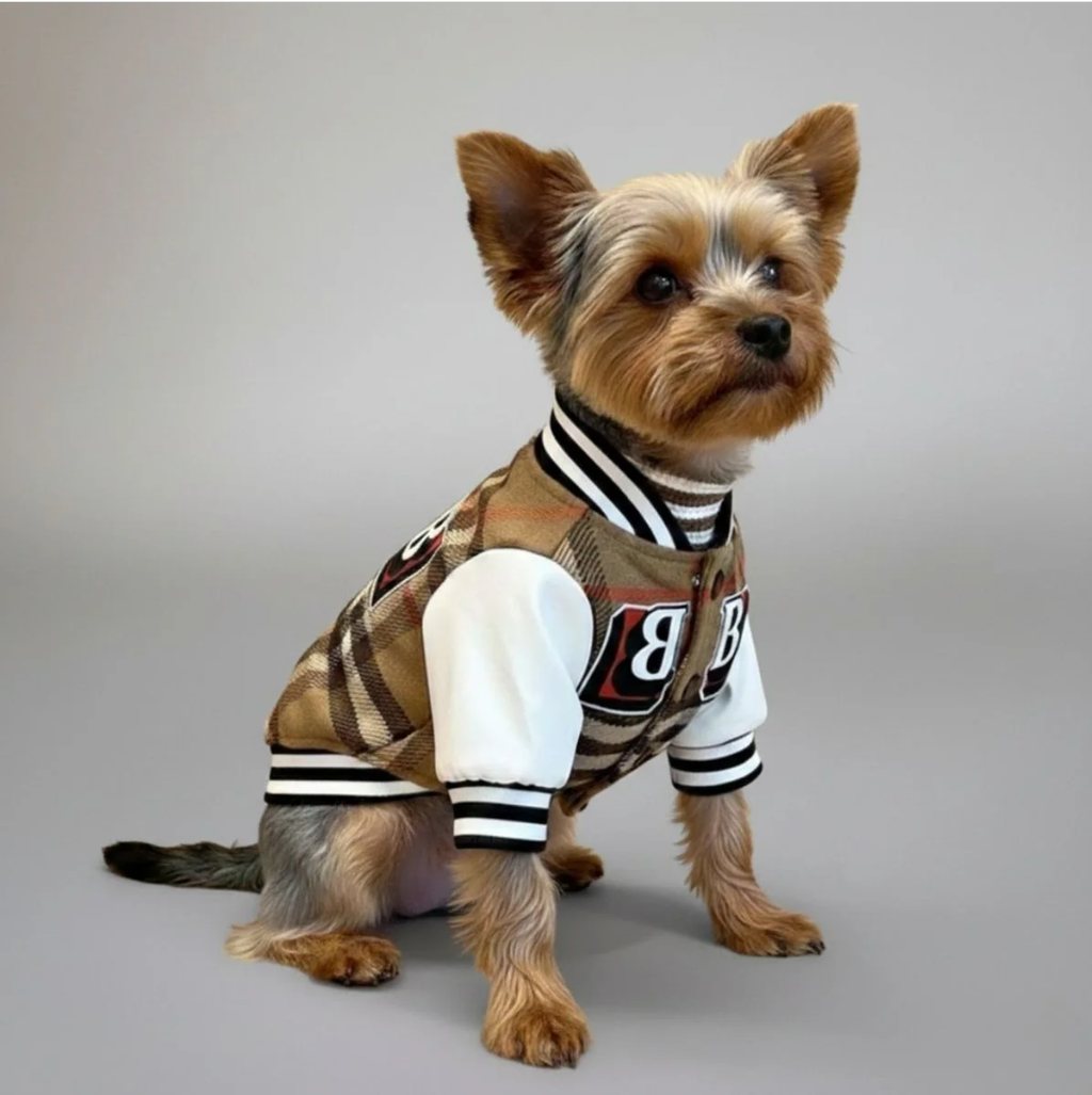 PAWLORAK  Plaid Baseball Dog Jacket – Sporty and Stylish Outerwear for Dogs