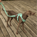 PAWLORAK  Gummy Cool Dog Accessories Walk Set