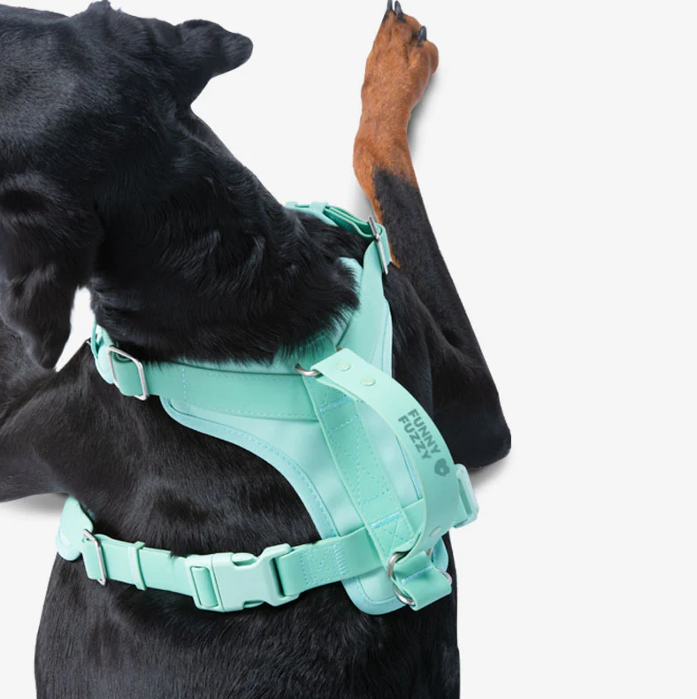 PAWLORAK  Gummy Cool Dog Accessories Walk Set
