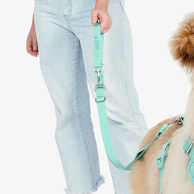 PAWLORAK  Gummy Cool Dog Accessories Walk Set