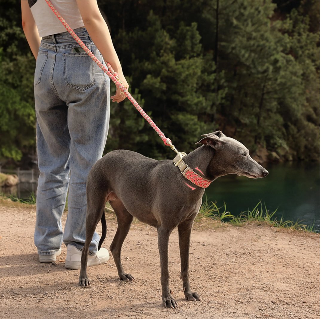 PAWLORAK  Heavy-Duty Hand-Woven Nylon Dog Leash for Medium and Large Dogs