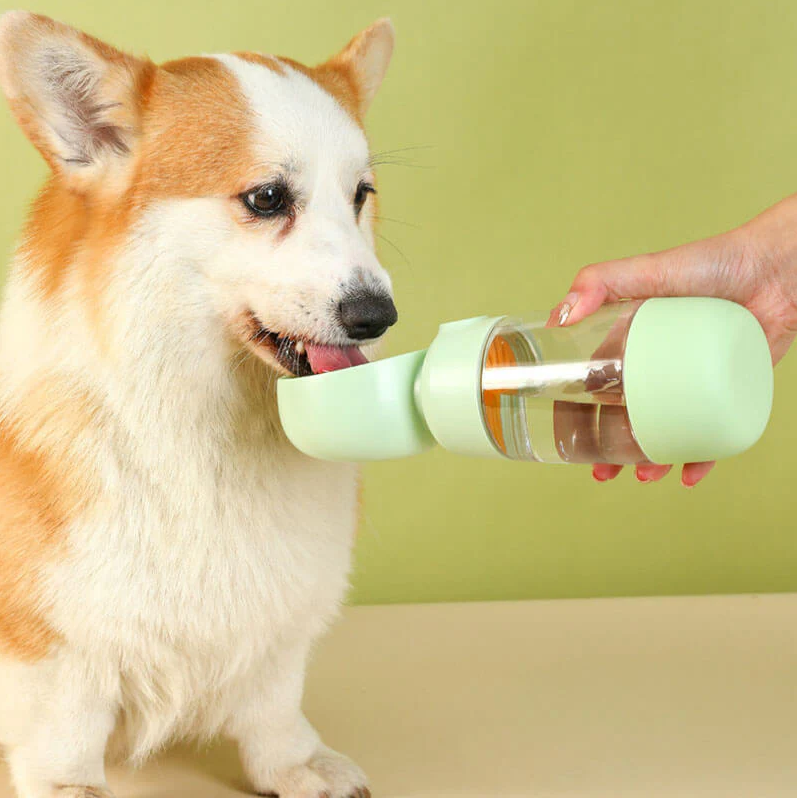PAWLORAK  2 in 1 Portable Outdoor Dog Water Bottle