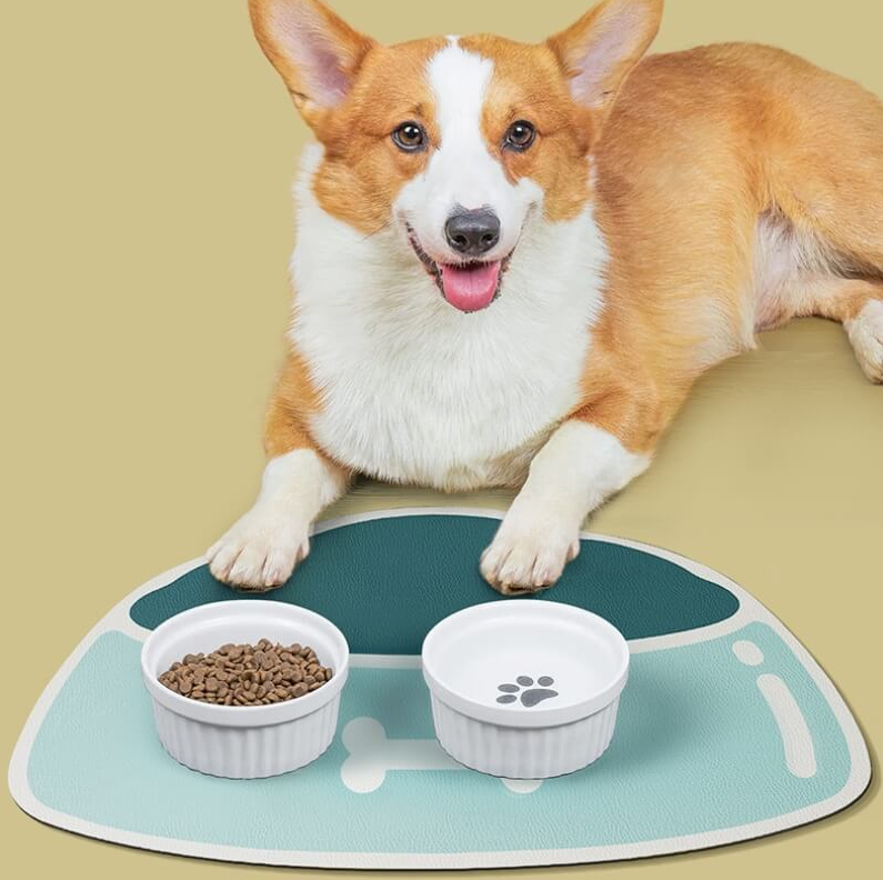 PAWLORAK  Quick-Dry Absorbent Non-Slip Pet Feeding Mat