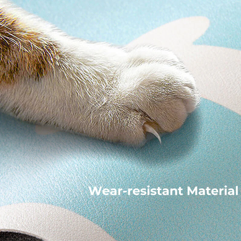 PAWLORAK  Quick-Dry Absorbent Non-Slip Pet Feeding Mat