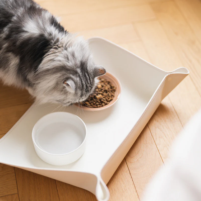 PAWLORAK  proof Place Mats Waterproof & Greaseproof Bowl Mat