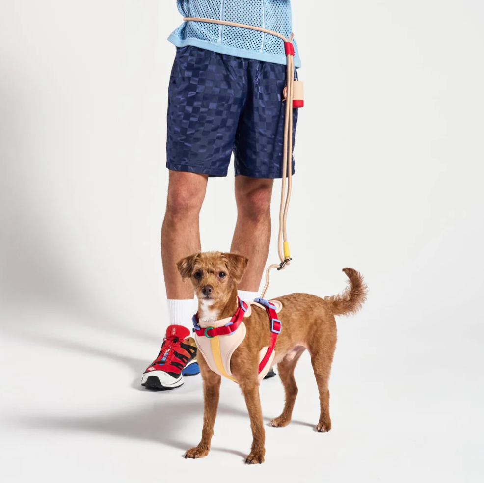 PAWLORAK  Hands-Free Rope Dog Leash