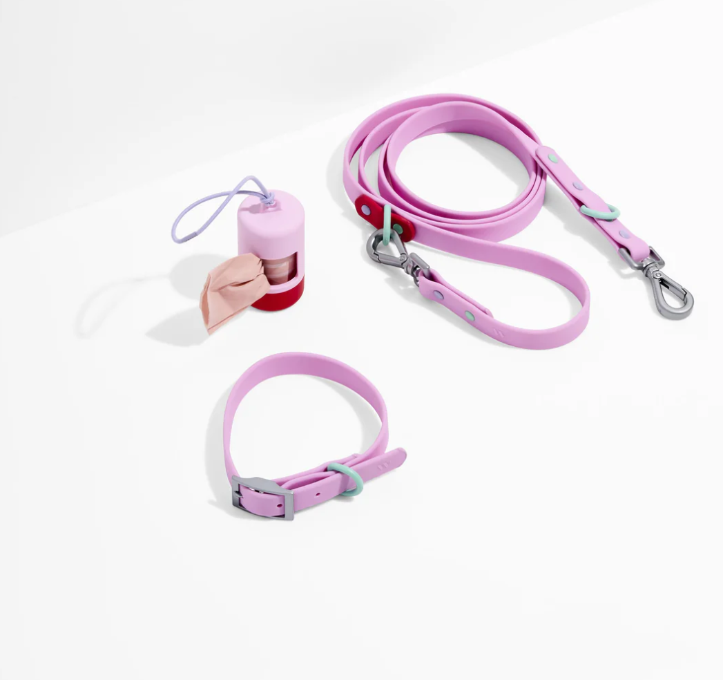 PAWLORAK  Waterproof Collar + Waterproof Leash Walk Kit