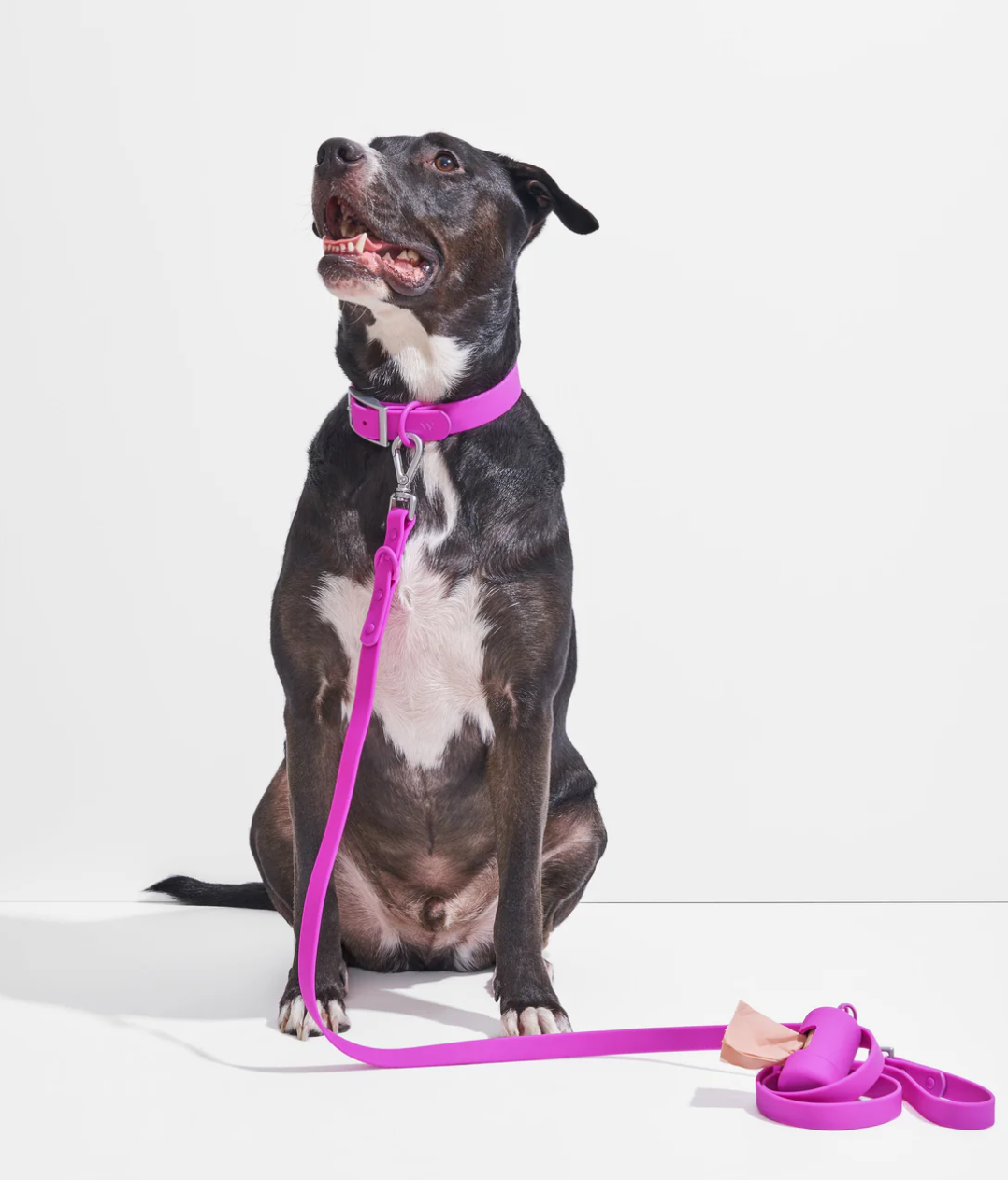 PAWLORAK  Waterproof Collar + Waterproof Leash Walk Kit