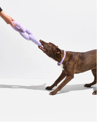 PAWLORAK  Chew Chain