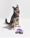 PAWLORAK  Chew Chain