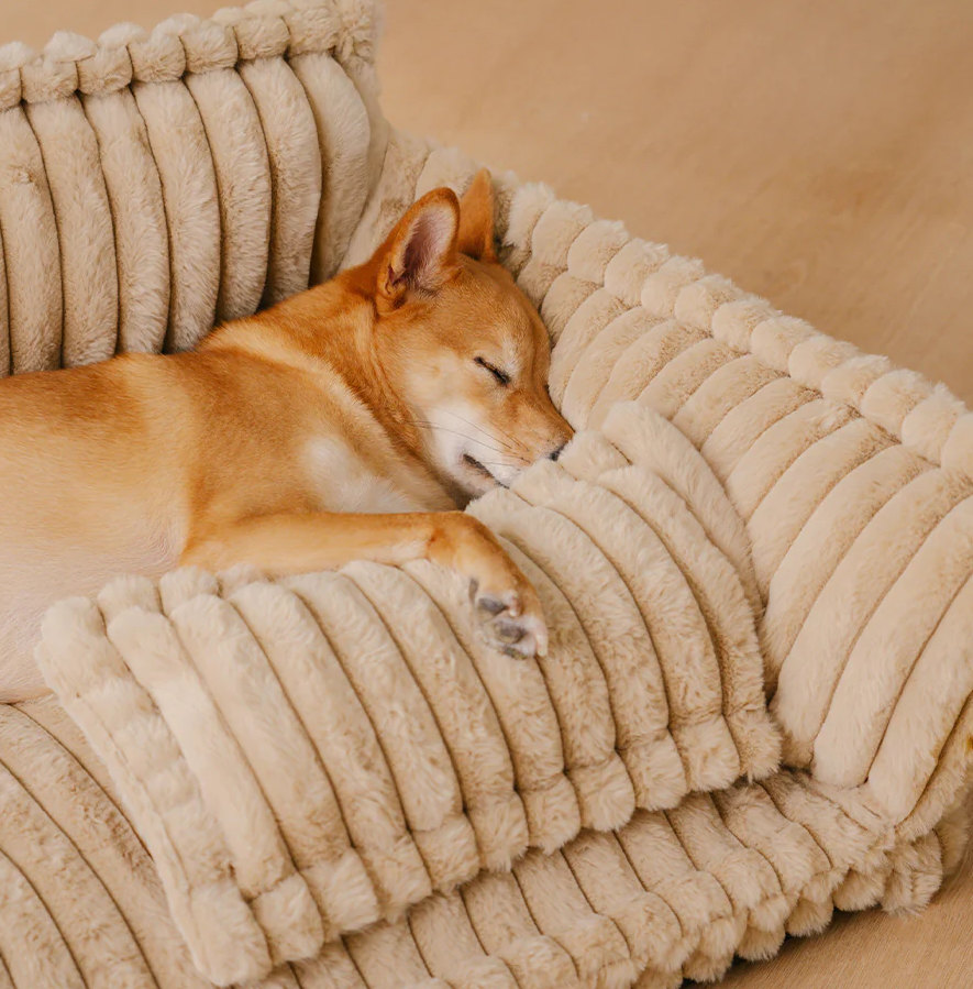 PAWLORAK  Large Washable Fluffy Orthopedic Soft Dog Pillow Dog Sofa Bed-Snoozy Dream