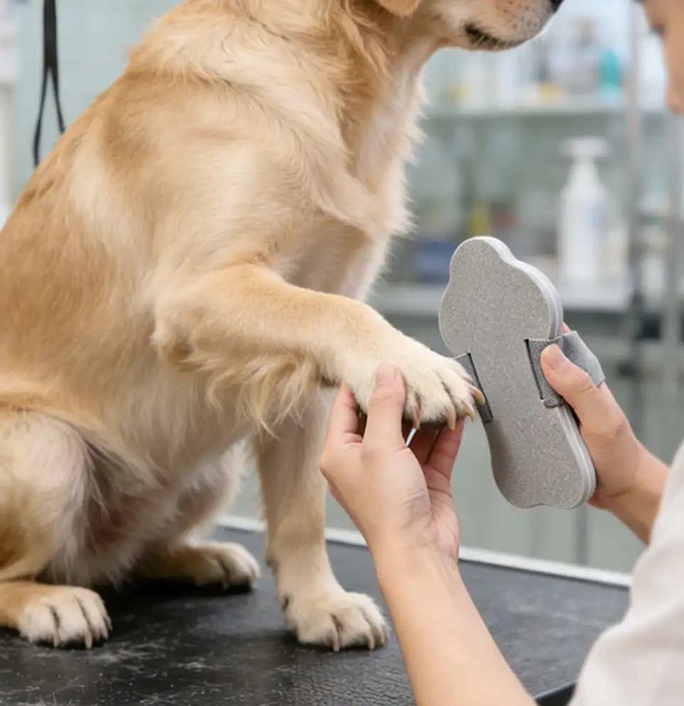 PAWLORAK  Portable Dog Nail Scratch Board