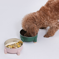 PAWLORAK  Dog Bowl - Tetrapod