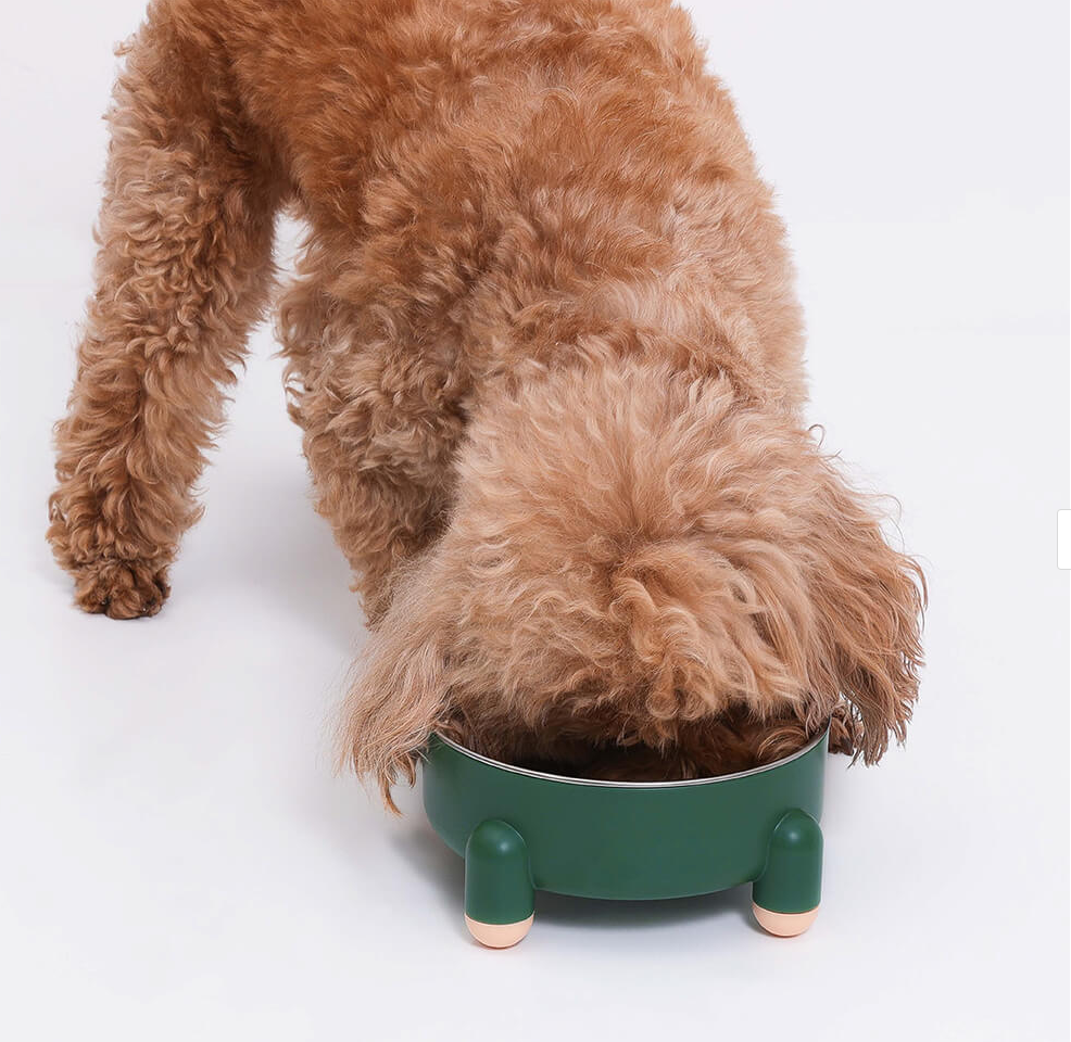 PAWLORAK  Dog Bowl - Tetrapod