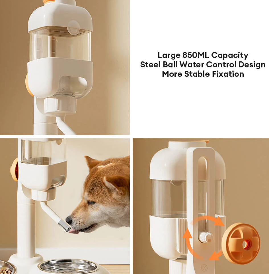 PAWLORAK  Pet Feeding Bowl Station Food Dispenser With Automatic Water