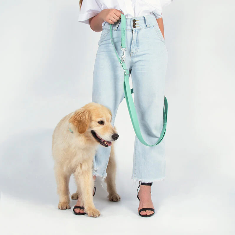 PAWLORAK  Gummy Dog Leash