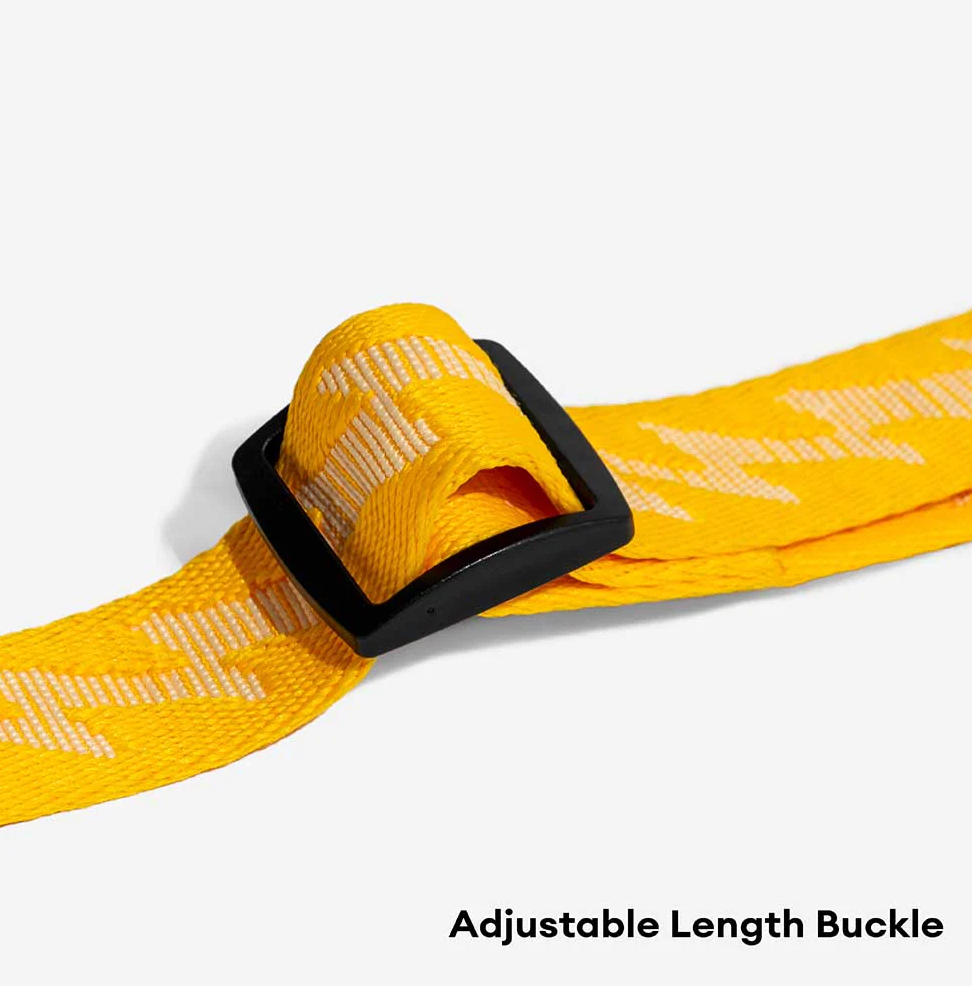 PAWLORAK  Dual-sided Reflective Adjustable Versatile Soft Handle Nylon Large Dog Leashes - Flexi Walker