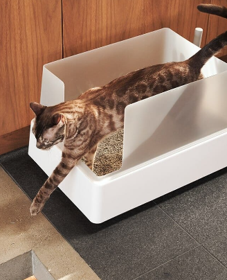 PAWLORAK  Litter Box
