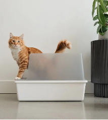 PAWLORAK  Litter Box