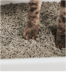 PAWLORAK  Litter Box