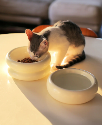 PAWLORAK  Catenary Elevated Halo Bowl