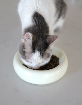 PAWLORAK  Catenary Halo Bowl