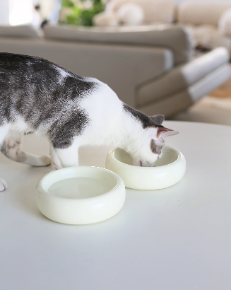 PAWLORAK  Catenary Halo Bowl