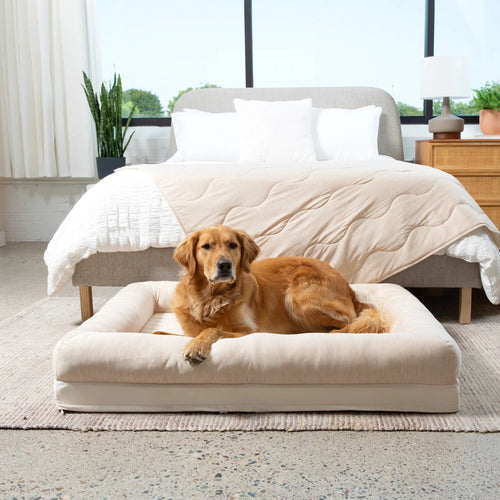 PAWLORAK  Cooling 4-Bolster Dog Bed - Arctic Sand