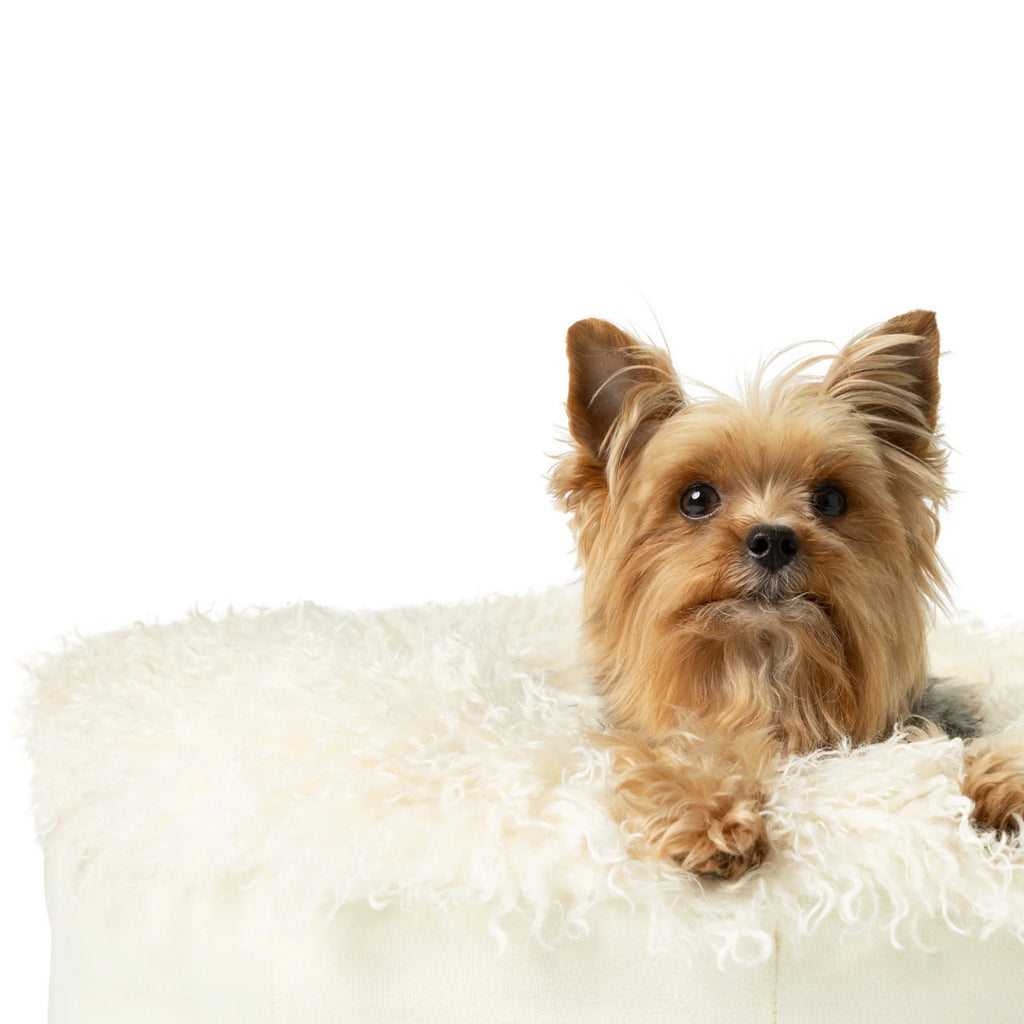 PAWLORAK  Luxe Faux Fur Donut Dog Bed - Plush Sheep Ivory