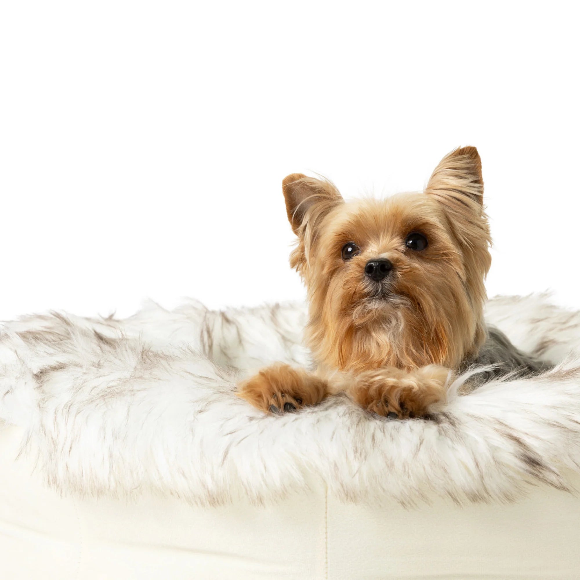 PAWLORAK  Faux Fur Donut Dog Bed - White with Brown Accents