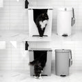 PAWLORAK  Litter Keeper