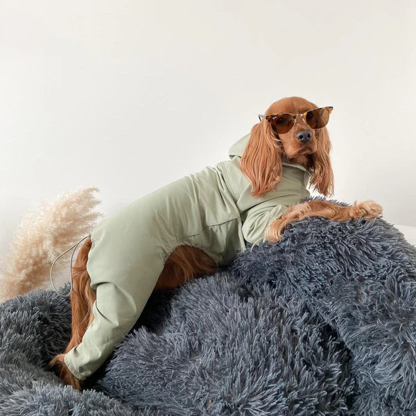 PAWLORAK  Four-Leg Rain Coat
