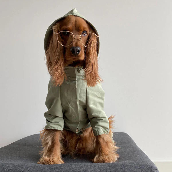 PAWLORAK  Four-Leg Rain Coat