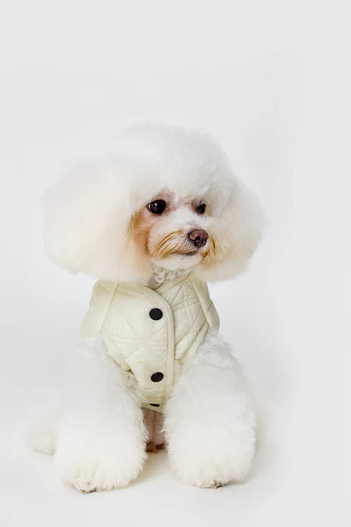 PAWLORAK  Over Glam | Sleeveless Diamond Lattice Jacket